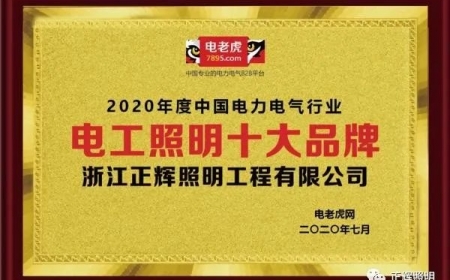 品牌榮譽(yù)！祝賀浙江正輝照明榮膺2020年“電工照明十大品牌”